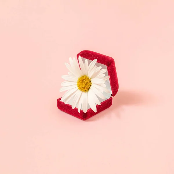 Creative Minimal Style Composition Red Engagement Ring Box White Daisy Photo De Stock
