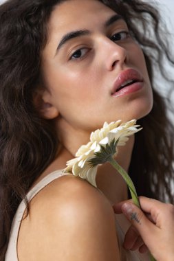 Gri stüdyo arka planında izole edilmiş beyaz gerberalar taşıyan güzel bir kadının yakın planda çekilmiş portresi.