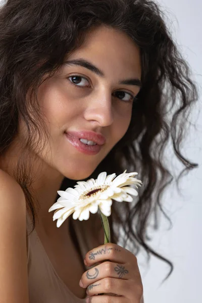 Close-up cropped portrait of beautiful woman holding white gerberas posing isolated over gray studio background — Stock Photo, Image