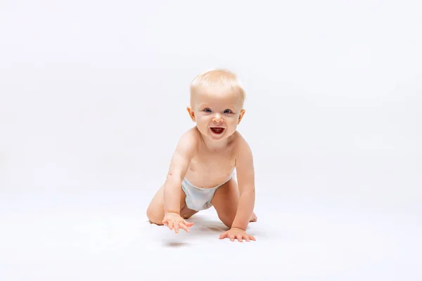 Portret van kleine schattige peuter meisje, baby in luier kruipen geïsoleerd over witte studio achtergrond — Stockfoto