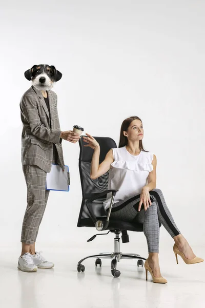 Hedendaagse kunst collage van twee vrouwelijke werknemers, persoonlijke assistent met hondenhoofd geven kopje koffie aan haar baas geïsoleerd over witte achtergrond — Stockfoto