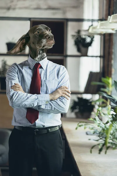 Współczesny kolaż artystyczny biznesmena z psią głową stojącego w pobliżu okna odizolowanego nad tłem biura — Zdjęcie stockowe