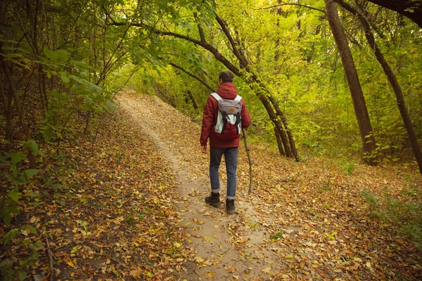 Full-length image of young man walking on autumn forest, hiking activity