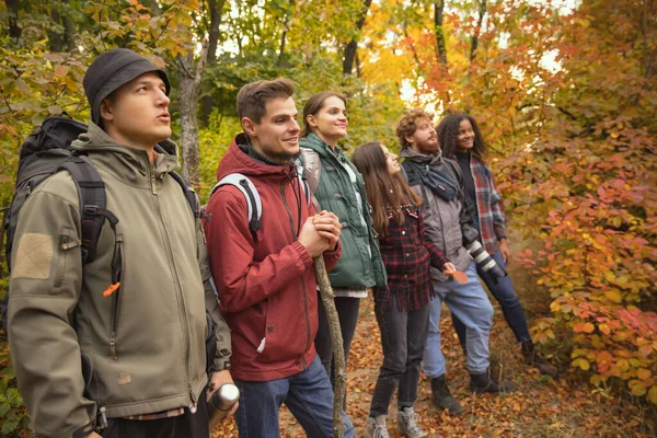 Grupo de amigos que passam tempo juntos na floresta, fazendo caminhadas. Piquenique de outono. — Fotografia de Stock