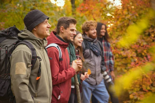 Обрезанная фотография друзей, проводящих время вместе в лесу, путешествующих пешком. Осенние выходные — стоковое фото