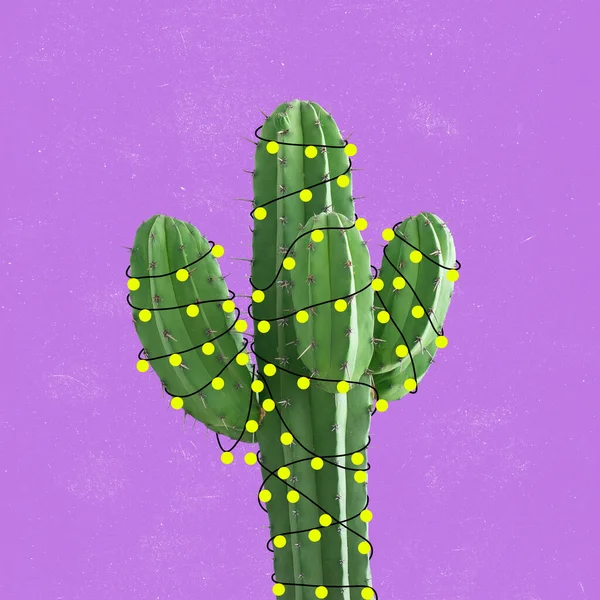 Współczesny kolaż artystyczny kaktusa z lampkami świątecznymi na fioletowym tle. Koncepcja wakacji — Zdjęcie stockowe