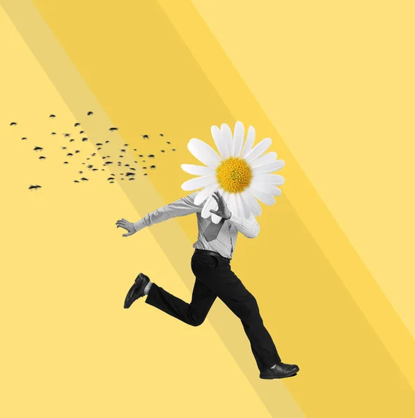 Сучасне мистецтво колаж людини з квітковою головою ромашки, що біжить від бджіл ізольовано на жовтому тлі — стокове фото
