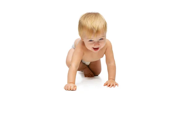 Portrait von kleinen niedlichen Kleinkind Junge, Baby in Windel kriechen isoliert über weißen Studiohintergrund — Stockfoto