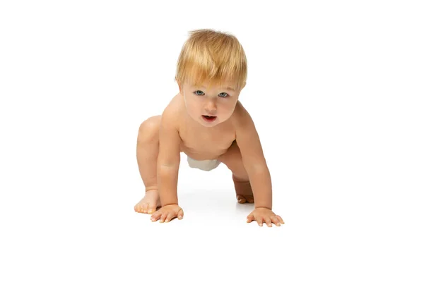 一个可爱的小孩的画像，穿着尿布的小孩在白色的工作室背景上爬行。采取初步措施. — 图库照片