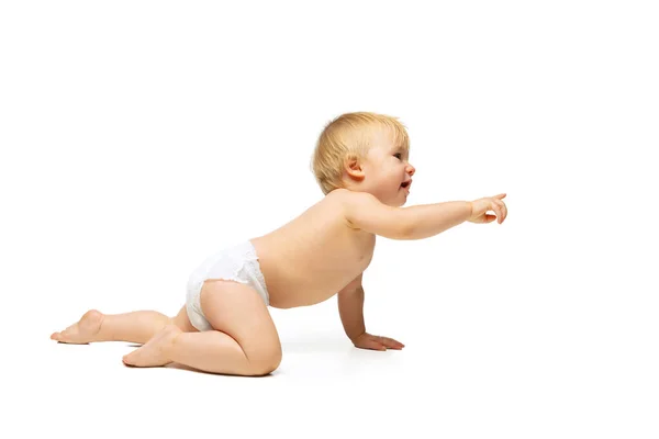Retrato de pequeño niño lindo, bebé en pañal arrastrándose aislado sobre fondo de estudio blanco —  Fotos de Stock