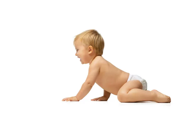 Potret anak kecil yang lucu, bayi dengan popok merangkak terisolasi di atas latar belakang studio putih — Stok Foto
