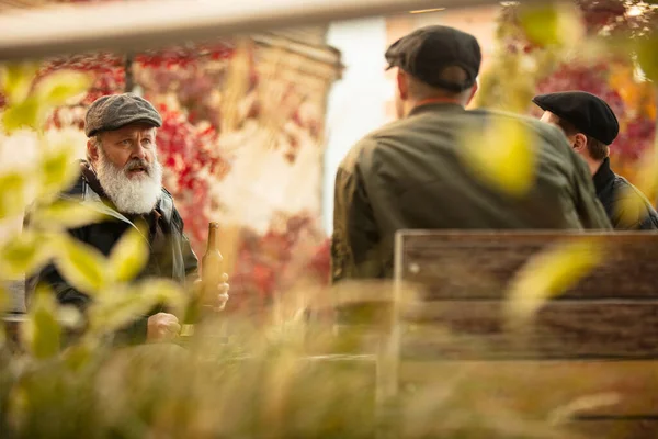 Bir grup erkek arkadaş sıcak bir sonbahar gününde birlikte dışarıda vakit geçiriyorlar. Bira içerek. — Stok fotoğraf