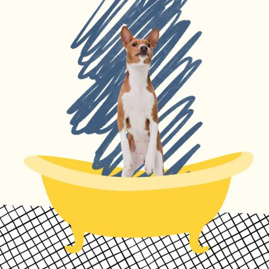 Contemporary art collage of cute, dog standing in bath isolated over white background clipart