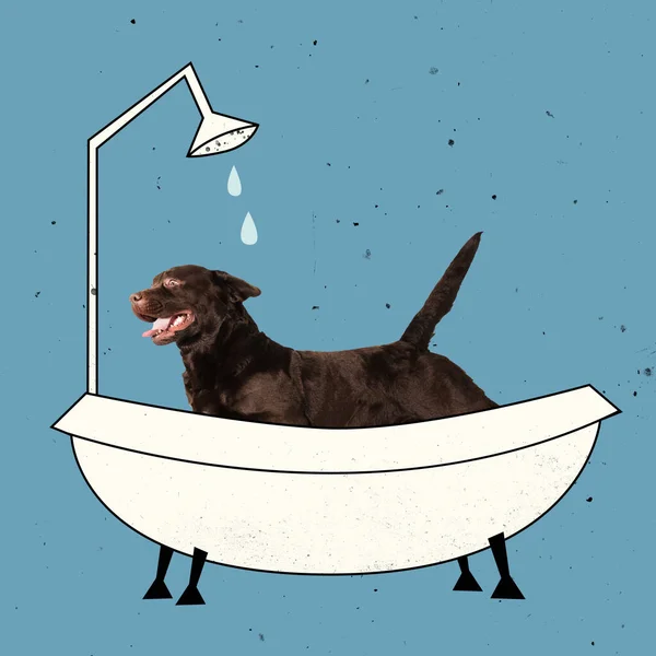 Současné umění koláž roztomilé Labrador pes, sprchový kout v koupelně izolované přes modrý backgound — Stock fotografie