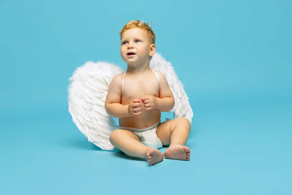 Retrato completo de niño pequeño, niño en pañal con alas de ángel sentado aislado sobre fondo azul. — Foto de Stock