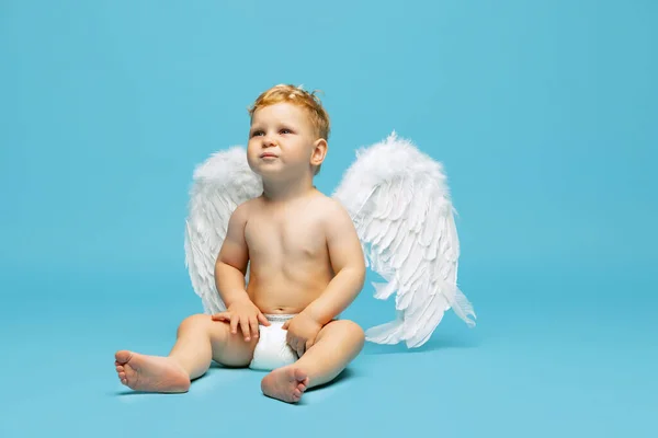 Retrato completo de niño pequeño, niño en pañal con alas de ángel sentado tranquilamente aislado sobre fondo azul —  Fotos de Stock