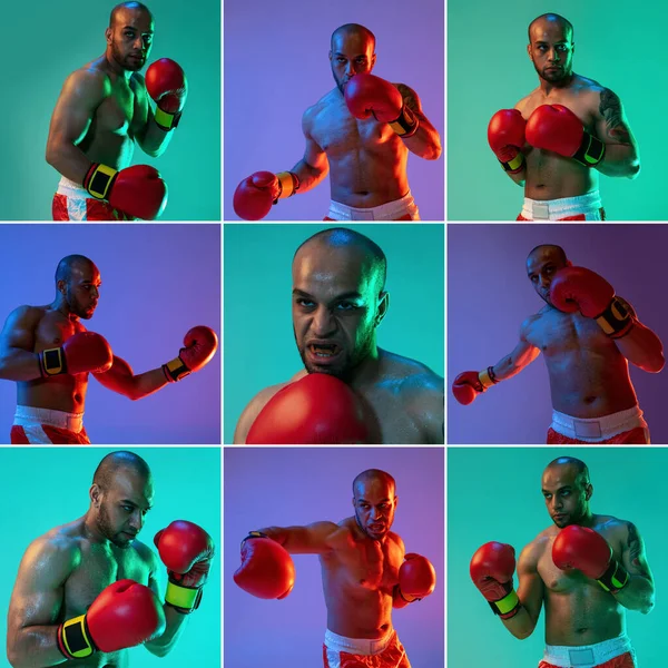 Collage av porträtt av professionella boxare trainign isolerade över flerfärgad bakgrund i neonljus — Stockfoto