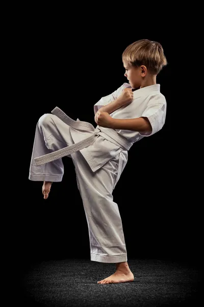 Retrato completo de meninos treinando artes marciais isoladas sobre fundo preto — Fotografia de Stock