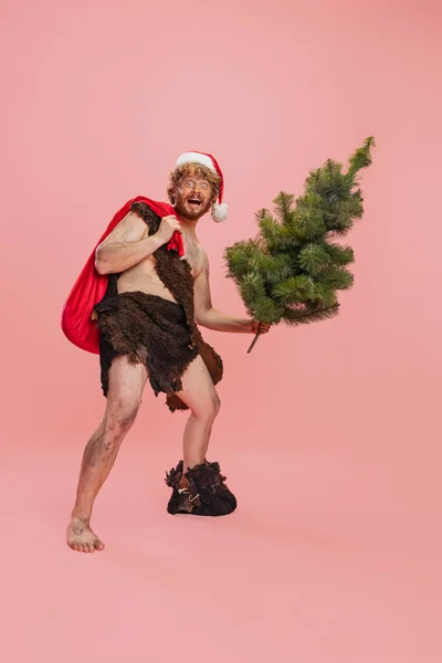Ganztägiges Porträt eines fröhlichen Mannes, Neandertaler mit rotem Feiertagshut, Weihnachtsbaum und Baumstamm isoliert vor rosa Hintergrund haltend. Frohe Feiertage — Stockfoto