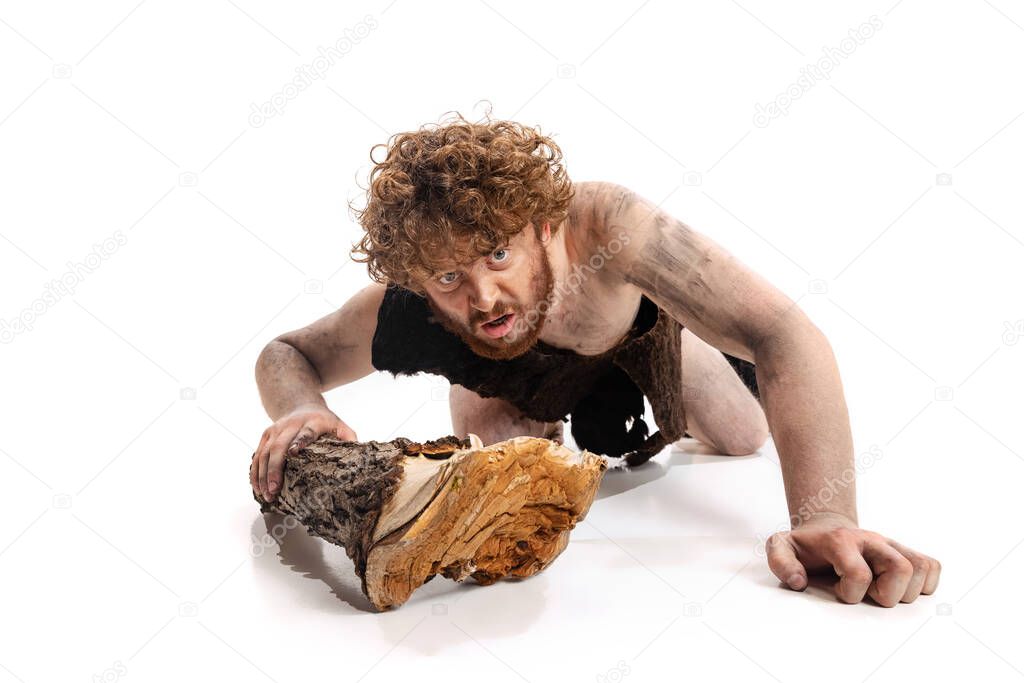 Horizontal portrait of dirty man in character of neanderthal holding big wooden log, wearing anim al skin cloth isolated over white background