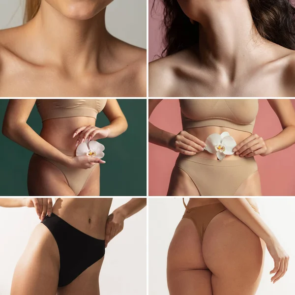Collage. Körperteile der schönen Frau posieren in Unterwäsche isoliert über buntem Hintergrund — Stockfoto