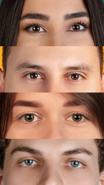 Коллаж. Человеческие глаза. мужчины и женщины, расположенные в узких горизонтальных полосах — стоковое фото