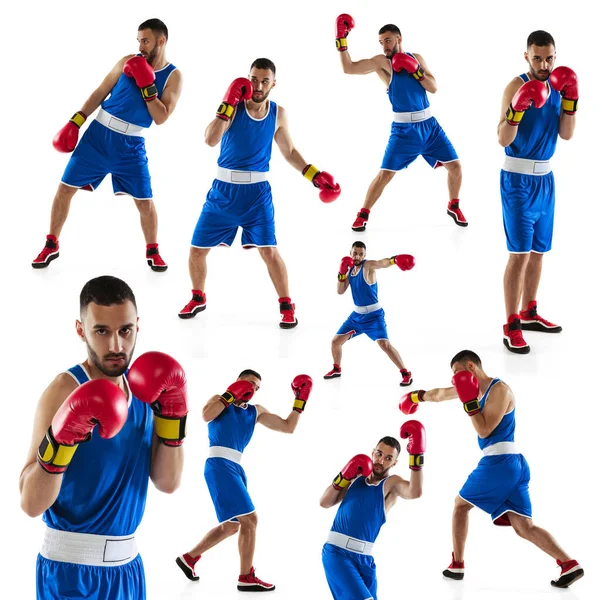 Collage. Un boxeador profesional en uniforme azul entrenando aislado sobre fondo blanco — Foto de Stock