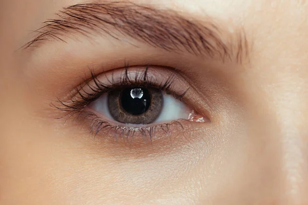 Cropped close-up portrait of beautiful female brown eye looking at camera — Stock Photo, Image