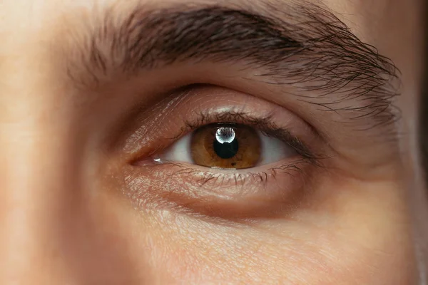 Beskurna närbild porträtt av vackra manliga bruna ögon tittar på kameran. Lugn, uppmärksam blick. — Stockfoto