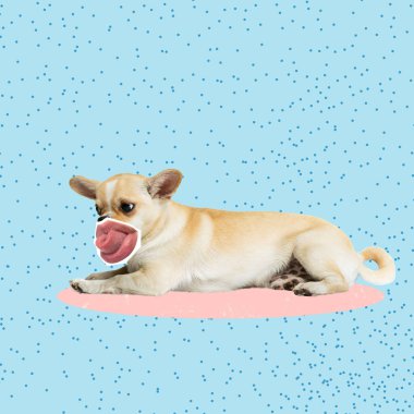 Çağdaş sanat kolajı. Dişi ağızlı şirin bir köpeğin komik görüntüsü, dil elementi mavi arka planda izole edilmiş.