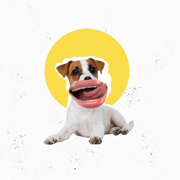Nutidskunst collage. Sød hund, hvalp med kvindeligt mundstof isoleret over hvid baggrund - Stock-foto