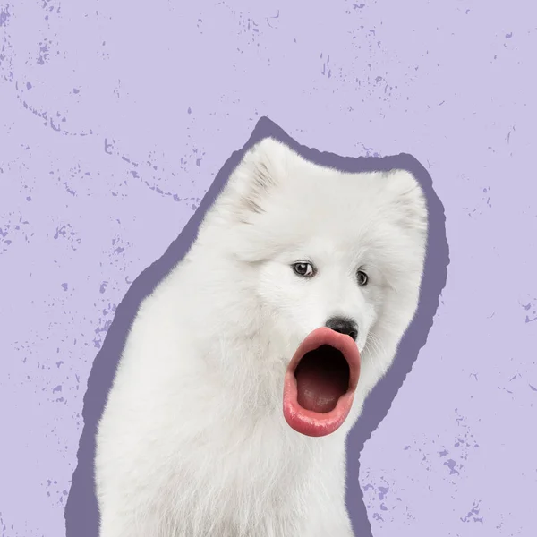 Contemporary art collage. Cute dog with human mouth element isolated over purple background. Shocked expression