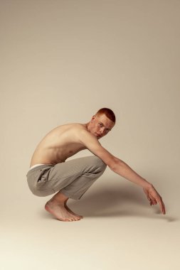 Gri stüdyo arka planında izole edilmiş pantolonsuz poz veren genç, kızıl saçlı bir adamın portresi. Erkek güzelliği, moda, erkek sağlığı, sağlık, zindelik kavramı. Dikkatli bak.