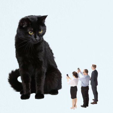Çağdaş sanat kolajı. Yaratıcı tasarım. Bir grup insan dev siyah kedi önünde durup fotoğraf çekiyorlar. Hayvan sergisi. Yaratıcılık kavramı, hayal gücü, eğlence, sürrealizm, ad