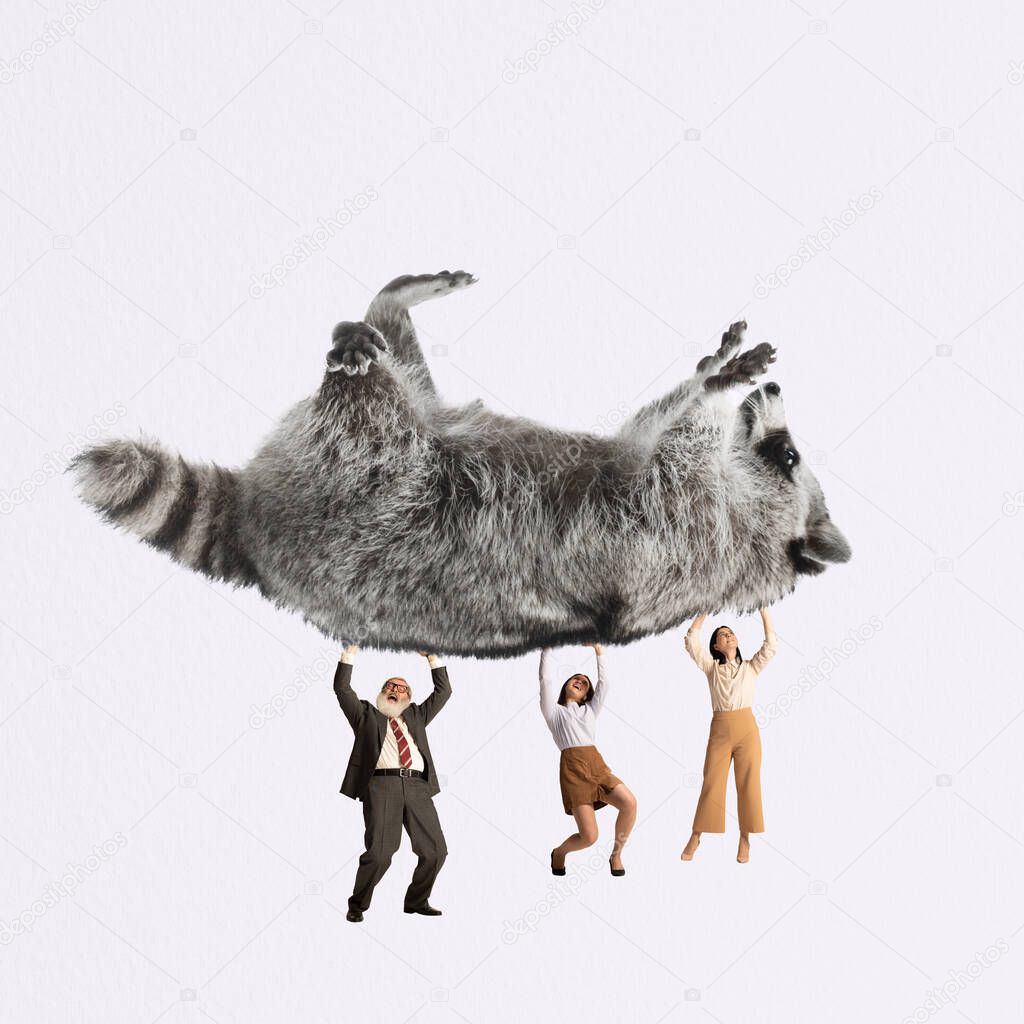 Contemporary art collage. Creative design. Employees, business people rising up giant raccoon symbolizing professional growth and success. Concept of creativity, surrealism, animals, employment