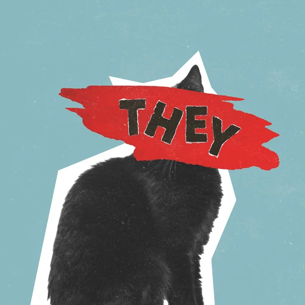 Kolaż Sztuki Współczesnej Obraz Koncepcyjny Czarnym Kotem Zaimkami Literowymi Wolny — Zdjęcie stockowe