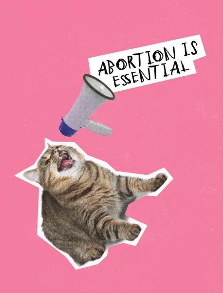 Contemporary art collage. Conceptual image with cat claiming of abortion importance. Health care and social impact. Concept of freedom, human rights, social issues, creativity, acceptance, ad