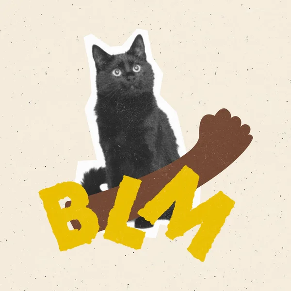 Κολάζ Σύγχρονης Τέχνης Εννοιολογική Εικόνα Μαύρη Γάτα Υποστηρίζοντας Σημασία Της — Φωτογραφία Αρχείου