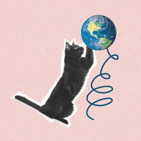 Κολάζ Σύγχρονης Τέχνης Εννοιολογική Εικόνα Σφαίρα Γάτας Και Γης Αποθηκεύστε — Φωτογραφία Αρχείου