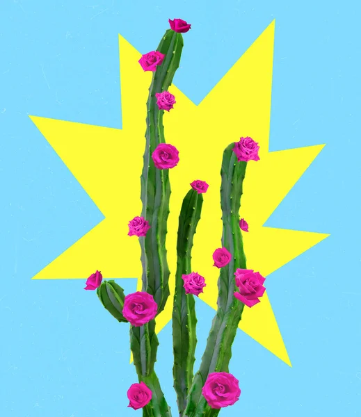 Contemporary Art Collage Creative Colorful Design Blooming Cactus Isolated Blue — Stock Photo, Image