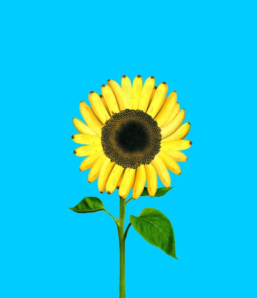 Contemporary art collage. Creative design with sunflower and banana leaves isolated on blue background. Concept of summer, mood, imagination, inspiration, surrealism, fun. Copy space for ad, poster