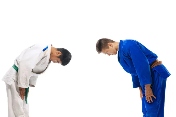 Portrait Two Young Men Martial Arts Sportsmen Greeting Bowing Isolated — Stockfoto