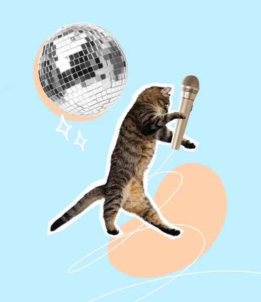 Contemporary art collage. Funny design with cat and microphone performing at disco party isolated on blue background. Concept of party, fun, creativity, surrealism, animal design. Poster, ad