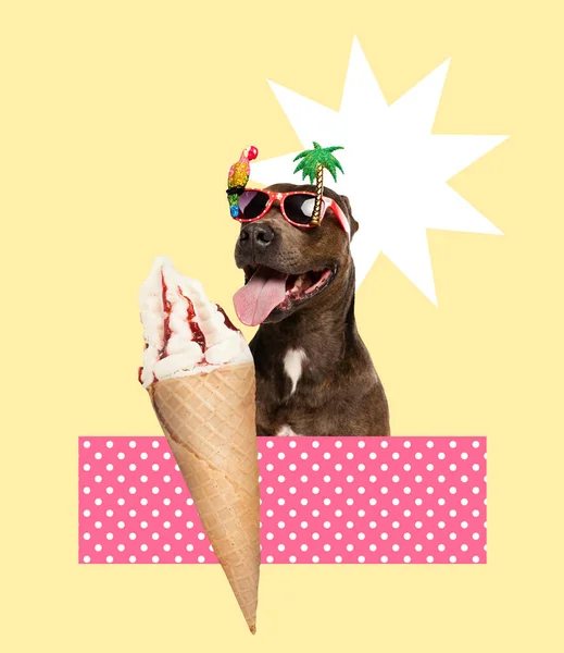Contemporary Art Collage Cheerful Happy Dog Eating Ice Cream Beach — Zdjęcie stockowe