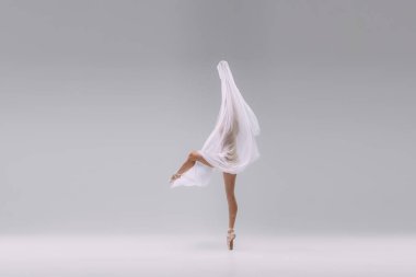 Portrait of young ballerina dancing with transparent fabric isolated over grey studio background. Tenderness. Secrets. Concept of classic ballet, inspiration, beauty, dance, creativity