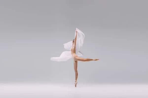 Portrait Young Ballerina Dancing Transparent Fabric Isolated Grey Studio Background — Fotografia de Stock