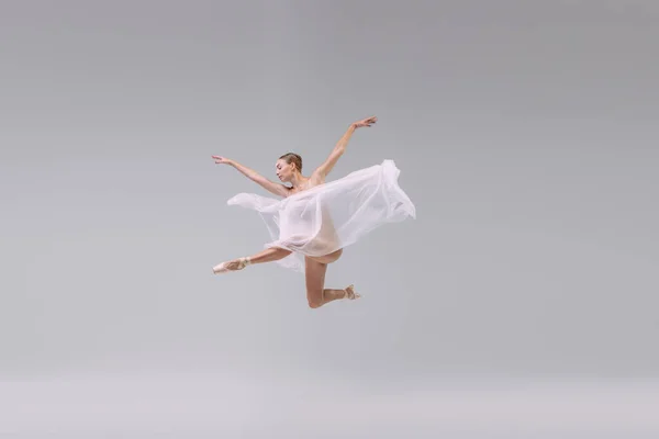 Portrait Young Ballerina Dancing Transparent Fabric Isolated Grey Studio Background — 图库照片