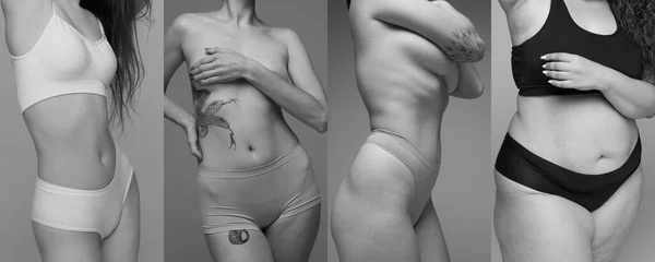 Collage Black White Photography Cropped Female Bodies Underwear Different Sizes — Stock fotografie