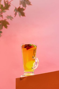 Glass of delicious aromatic fruit tea with citrus, lemons, mango, honey and anise isolated over pink background. Concept of taste, drink, healthy ingredients, seasonal drink. Copy space for ad