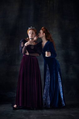 Karanlık arka planda izole edilmiş kraliçeler gibi duran iki güzel kadının portresi. Fısıldayan sırlar ve dedikodular. Devir, modernlik ve rönesans karşılaştırması kavramı, barok tarzı, tarih